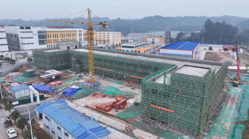 筑牢產業高地 搶跑低氘新賽——重慶小氫炮飲品項目沖刺首季“開門紅”
